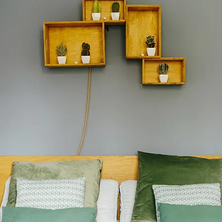 Diseno Y Confort By Wehomes