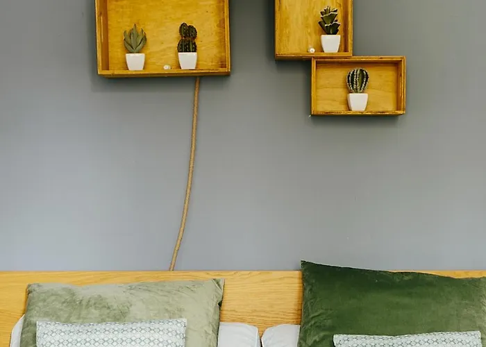 Diseno Y Confort En El Centro